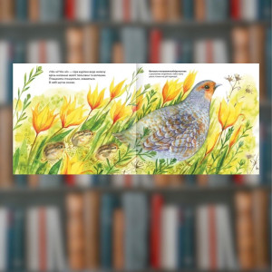 Книга П'ять вершин Ольга Сілакова (2605kro). Photo 3